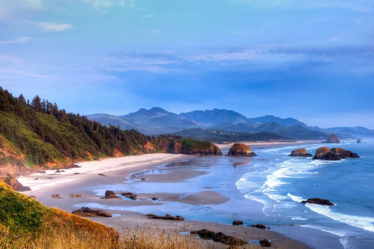 A sweeping view of the ocean with dramatic rock formations, a wide sandy beach, lush greenery, and distant mountains. The scene is serene and picturesque, evoking exploration, tidepooling, and nature walks.